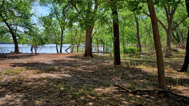 TBD Selma Rd, Bowie, TX 76230