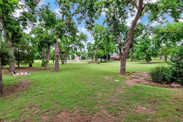 1600 Templegate Dr, Mckinney, TX 75072 - view of grassy yard