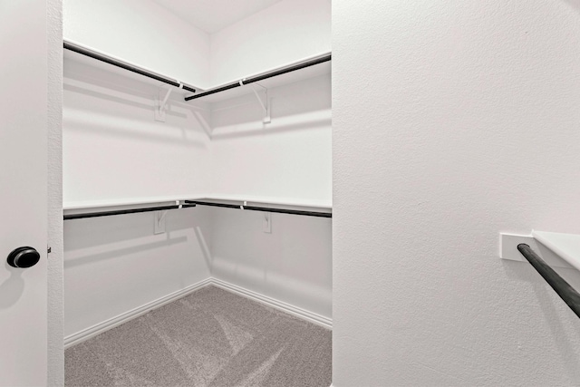 1126 Bexar Ln, Plano, TX 75075 - spacious closet with carpet