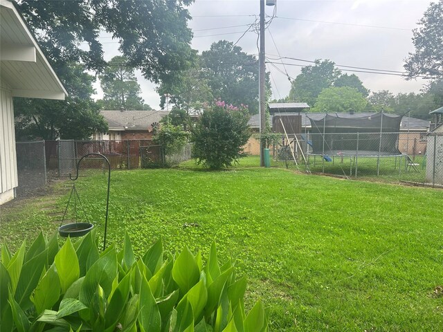 3415 Reily Ln, Shreveport, LA 71105 - view of yard featuring a trampoline