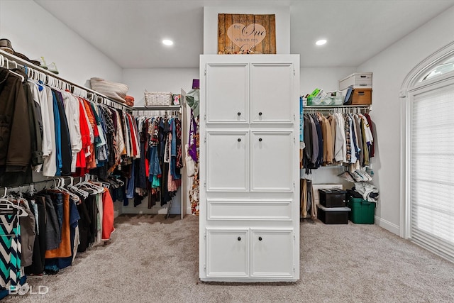 10198 Castanedo Ct, Keithville, LA 71047 - walk in closet with light carpet
