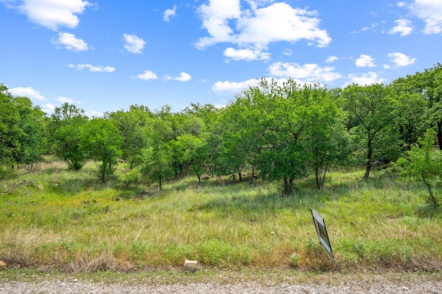 260 Ridgeline Dr, Chico, TX 76431