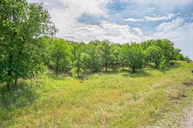260 Ridgeline Dr, Chico, TX 76431