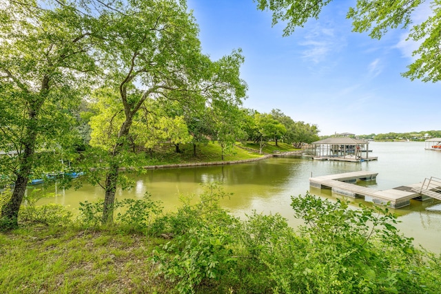 4208 Shore Front Dr, Fort Worth, TX 76135 - water view featuring a floating dock