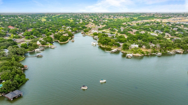 4208 Shore Front Dr, Fort Worth, TX 76135 - bird's eye view of a large body of water