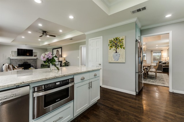 7514 Caillet St, Dallas, TX 75209 - kitchen featuring open floor plan, ornamental molding, appliances with stainless steel finishes, a raised ceiling, and a ceiling fan