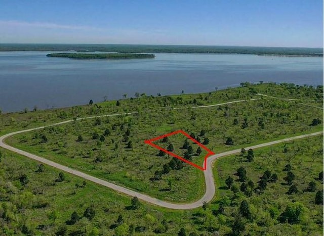 9108 W Shoreline Dr, Kemp, TX 75143