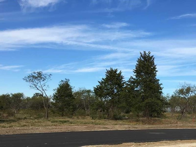 9108 W Shoreline Dr, Kemp, TX 75143