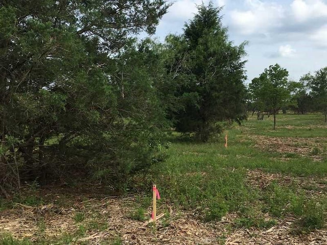 9108 W Shoreline Dr, Kemp, TX 75143