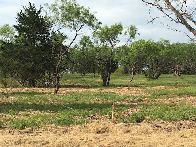 9108 W Shoreline Dr, Kemp, TX 75143