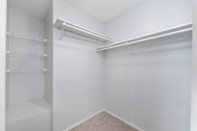 10315 Budtime Ln, Dallas, TX 75217 - walk in closet featuring carpet floors