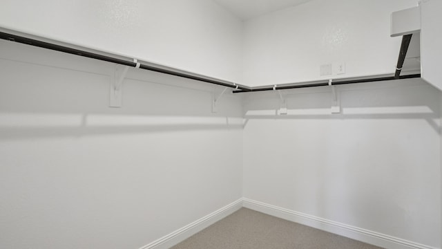 516 Willet Dr, Mckinney, TX 75069 - spacious closet featuring light colored carpet