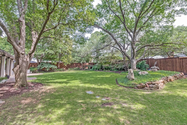 3970 Cobblestone Cir, Dallas, TX 75229 - view of yard