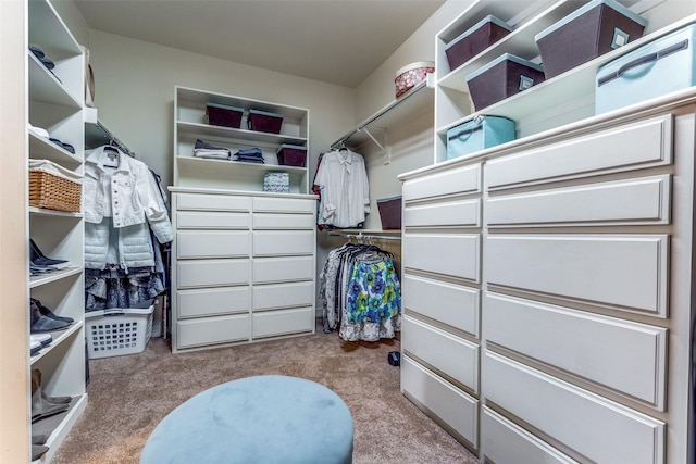 6521 Del Norte Ln, Dallas, TX 75225 - spacious closet featuring carpet flooring