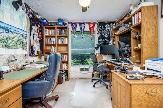 425 Headlee St, Denton, TX 76201 - office space featuring a textured ceiling and plenty of natural light