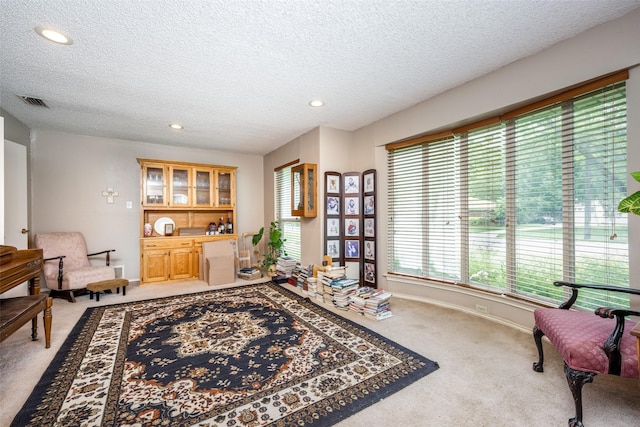 425 Headlee St, Denton, TX 76201 - sitting room featuring light colored carpet, a textured ceiling, recessed lighting, and baseboards