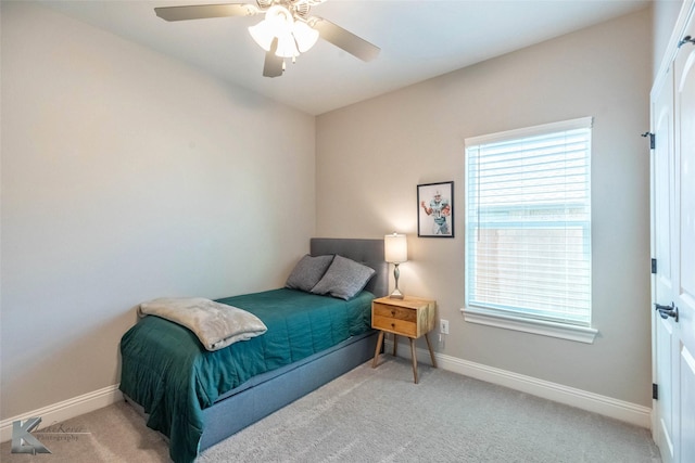 6709 Tradition Dr, Abilene, TX 79606 - carpeted bedroom with multiple windows, baseboards, and a ceiling fan