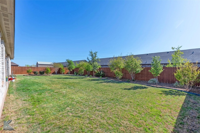 6709 Tradition Dr, Abilene, TX 79606 - view of yard