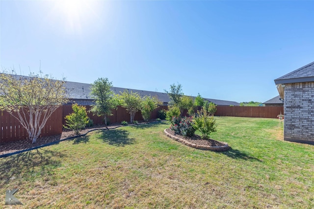 6709 Tradition Dr, Abilene, TX 79606 - view of yard
