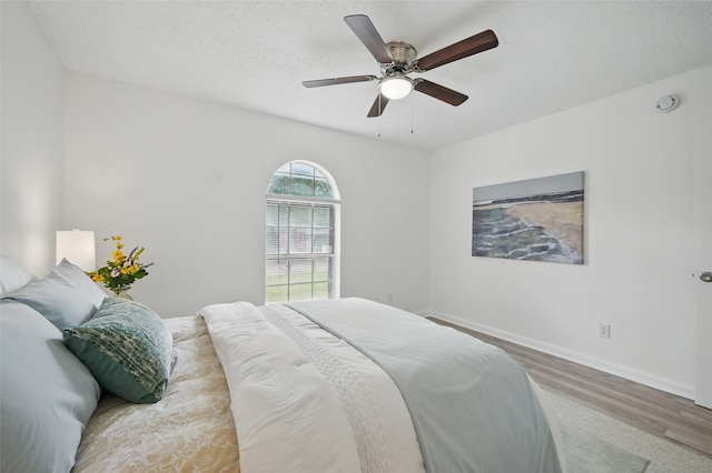 629 Chambers St, Denton, TX 76205 - bedroom with wood finished floors, ceiling fan, and baseboards