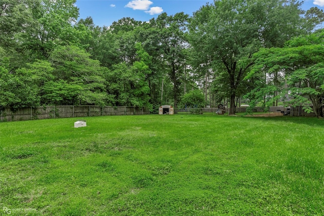 704 Taylor Bend St, Haughton, LA 71037 - view of yard with a shed and an outbuilding
