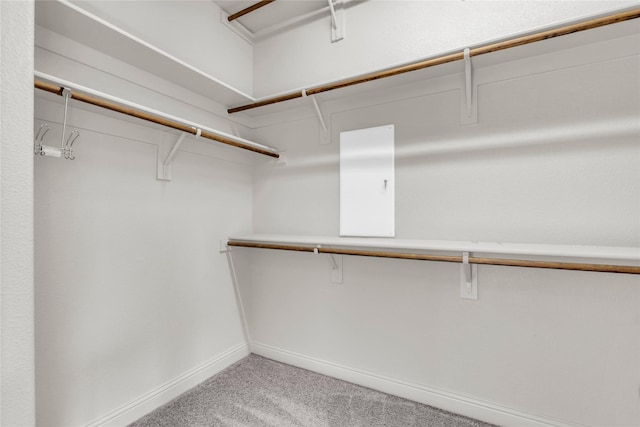 405 Calvert Dr, Midlothian, TX 76065 - walk in closet featuring light colored carpet