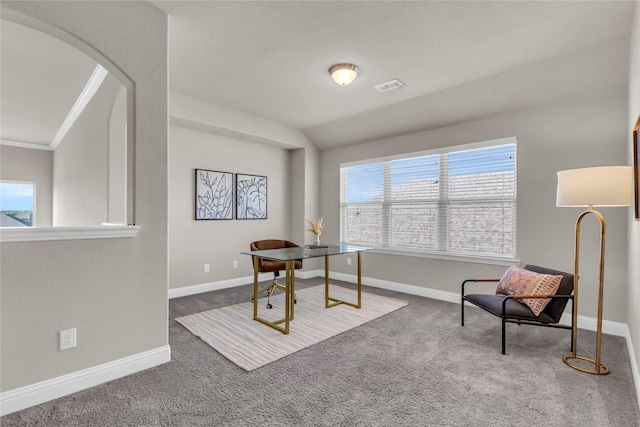 405 Calvert Dr, Midlothian, TX 76065 - office space featuring carpet flooring, arched walkways, baseboards, and crown molding