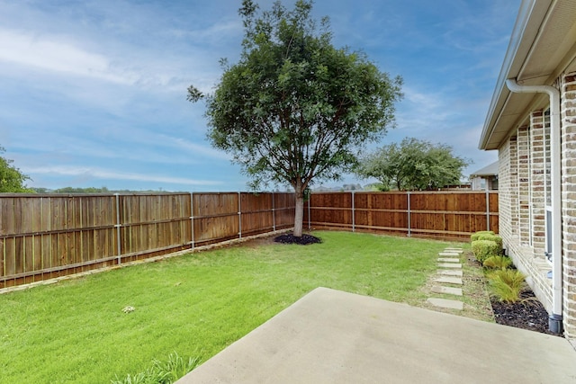 3716 Alder Dr, Mckinney, TX 75071 - view of yard with a patio