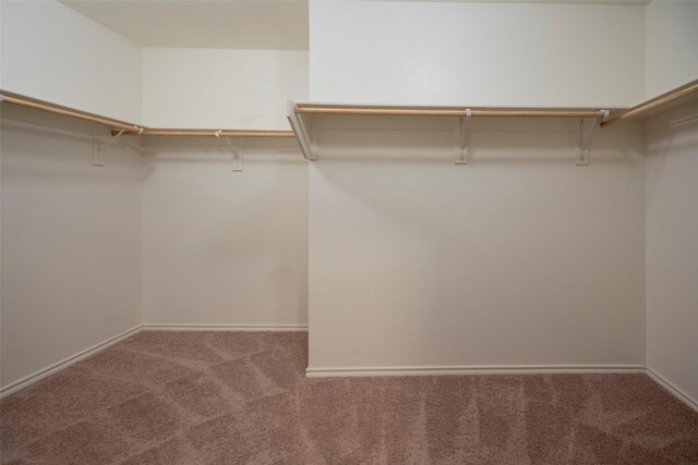 1543 Meadowlake Dr, Waxahachie, TX 75165 - spacious closet with carpet flooring