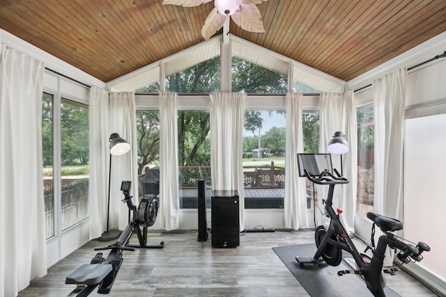 8820 Hunters Glen Trl, Fort Worth, TX 76120 - workout area with a ceiling fan, wood ceiling, vaulted ceiling, and wood finished floors