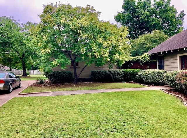 1001 S Locust St, Clarksville, TX 75426 - view of yard