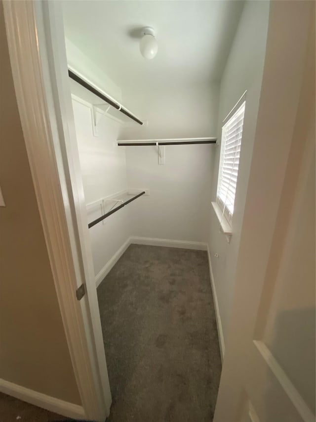 4434 Vineyard Creek Dr, Grapevine, TX 76051 - walk in closet with carpet flooring