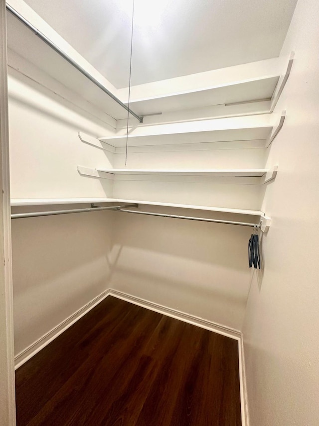 spacious closet featuring dark wood finished floors
