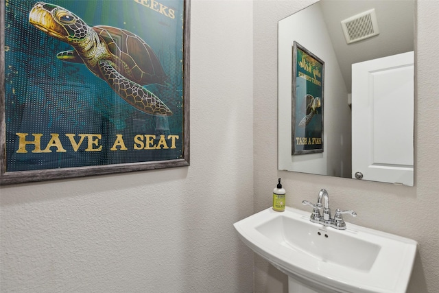 5909 Horsetail Dr, Mckinney, TX 75071 - bathroom with a sink