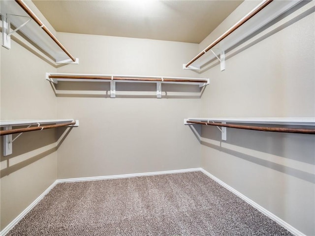 1341 Bristol Ln, Providence Village, TX 76227 - walk in closet featuring carpet floors