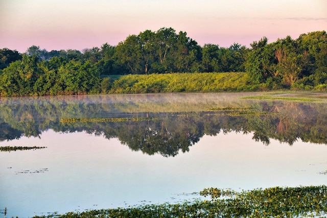 641 Hidden Pass, Royse City, TX 75189 - water view
