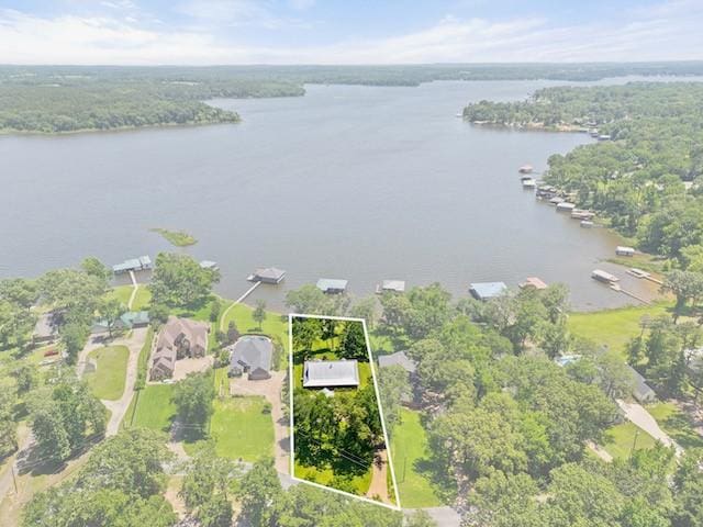 16887 Rainbow Ridge Cir, Tyler, TX 75707 - aerial overview of property's location with property parcel outlined and a nearby body of water