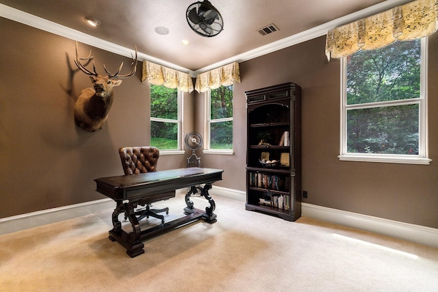 2306 Autumn Run Ct, Cedar Hill, TX 75104 - office with ornamental molding, baseboards, and carpet floors
