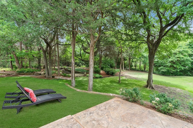 2306 Autumn Run Ct, Cedar Hill, TX 75104 - view of grassy yard with a patio area