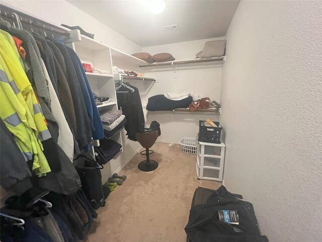 306 Valley Lake Ct, Springtown, TX 76082 - spacious closet with carpet