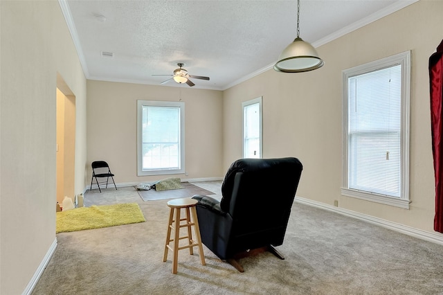 225 N Binkley St, Sherman, TX 75092 - living area with carpet flooring, crown molding, a ceiling fan, baseboards, and a textured ceiling