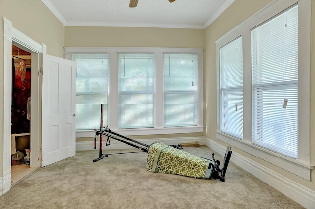 225 N Binkley St, Sherman, TX 75092 - exercise area featuring carpet, ornamental molding, ceiling fan, plenty of natural light, and baseboards