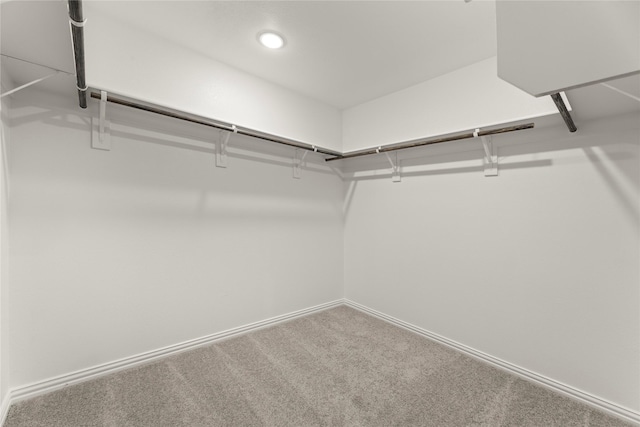 120 Doma Ave, Greenville, TX 75402 - walk in closet with carpet flooring