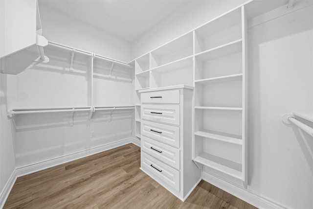 313 Crye Cir, Robinson, TX 76706 - walk in closet with wood finished floors