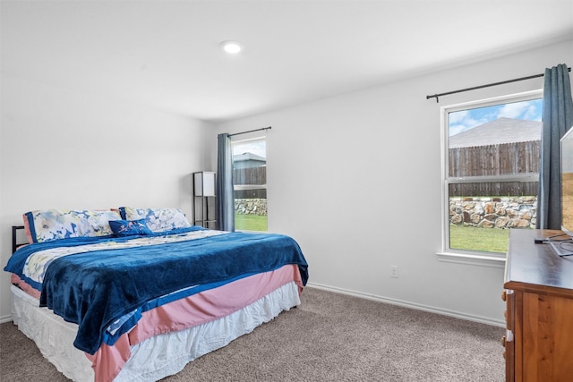 1416 Old Trail Rd, Royse City, TX 75189 - carpeted bedroom featuring multiple windows and baseboards