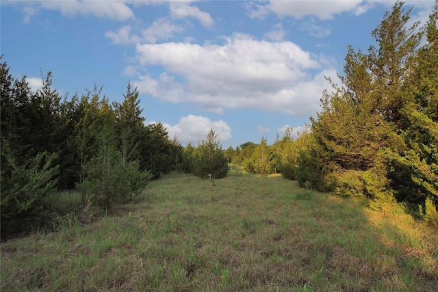 TDB Fm-137, Roxton, TX 75477