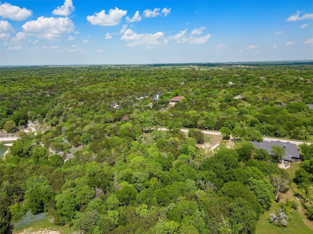 1269 Paint Brush Ct, Whitney, TX 76692