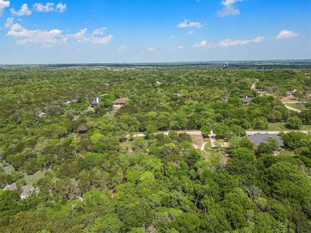 1269 Paint Brush Ct, Whitney, TX 76692