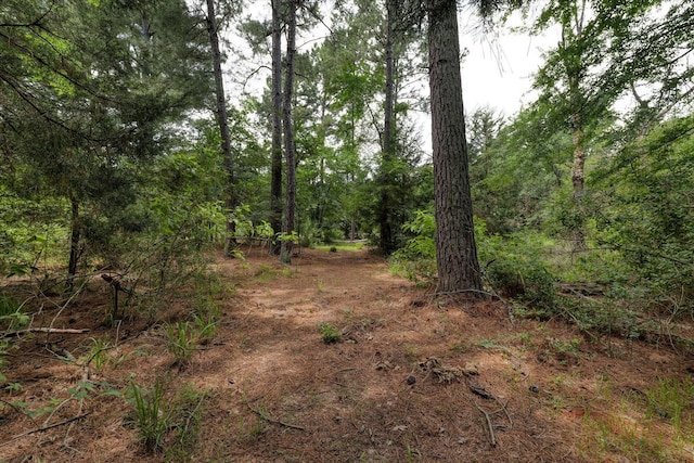 263 W Fm 27th Hwy, Fairfield, TX 75840