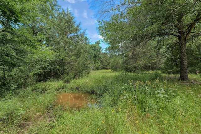 263 W Fm 27th Hwy, Fairfield, TX 75840